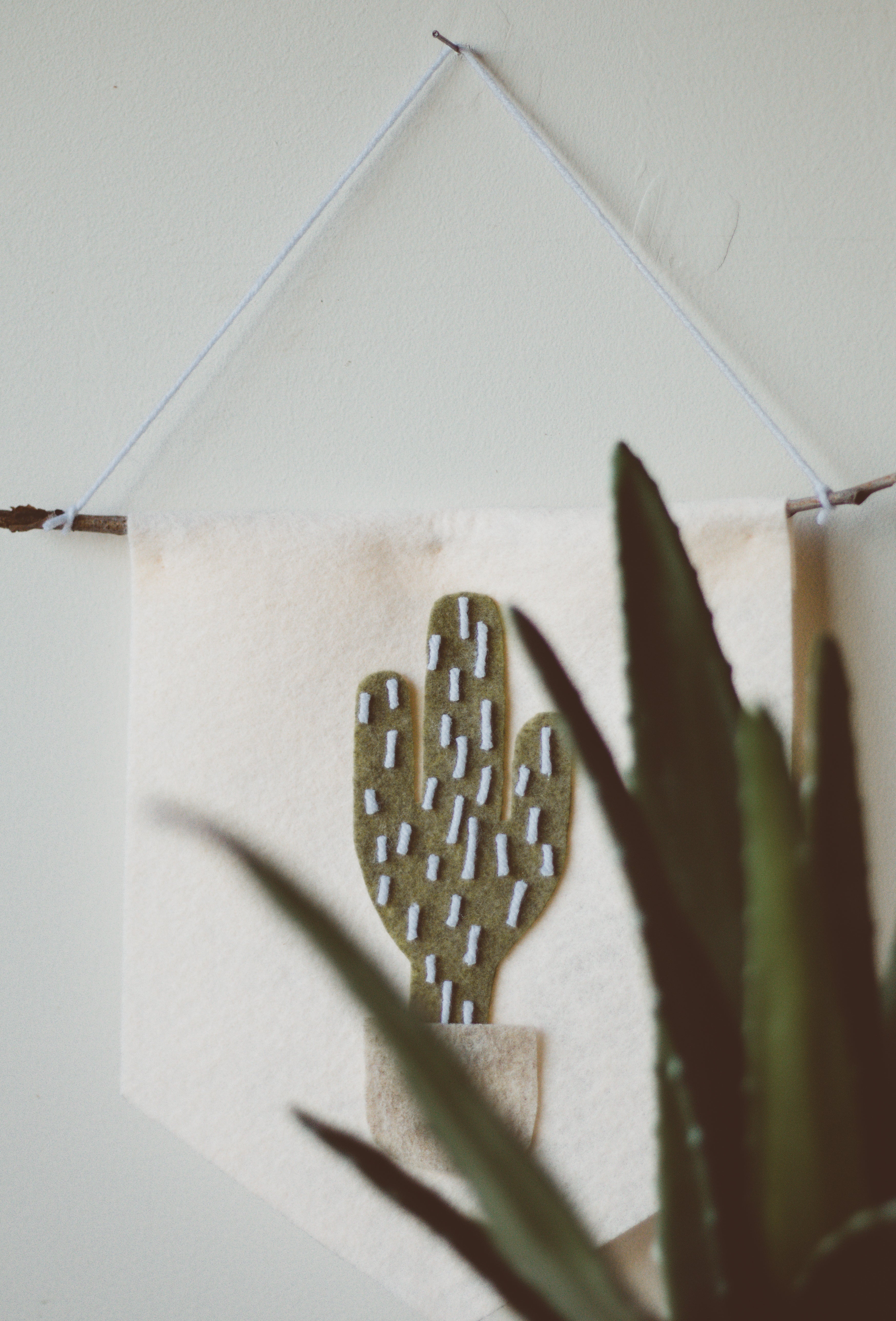 Cactus Banner