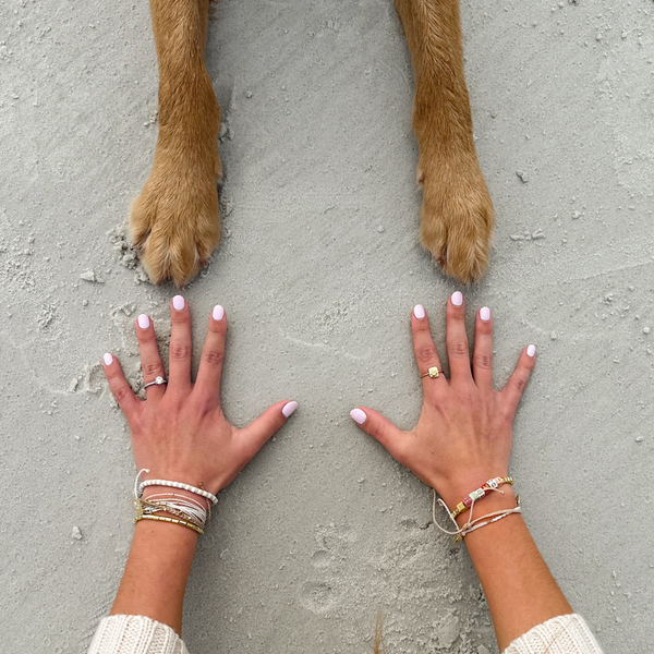 Four Ways to Help Friends in Need with Best Friends Animal Society