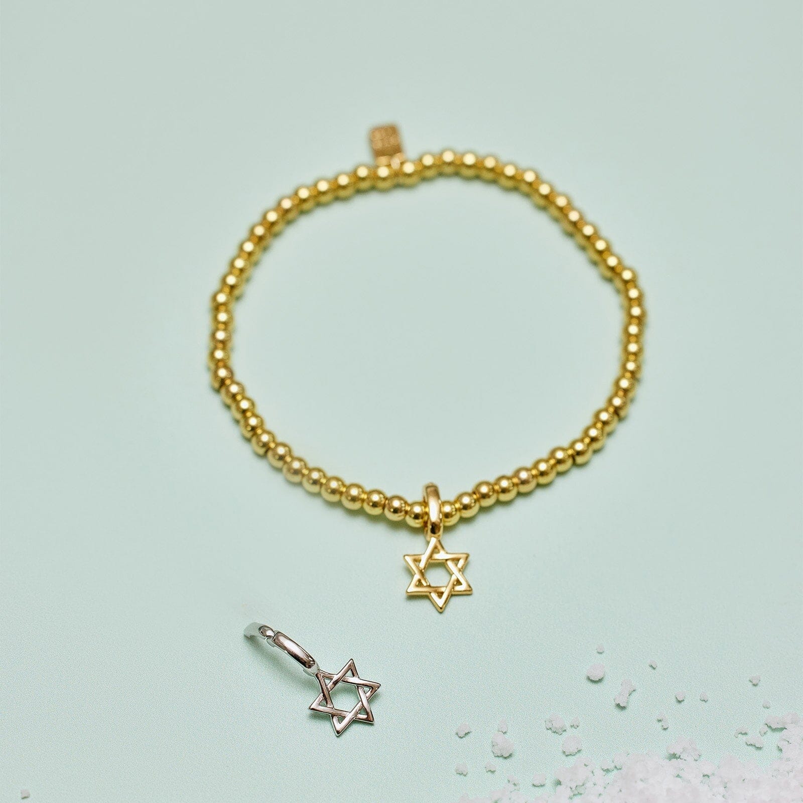 Harper Star of David Charm