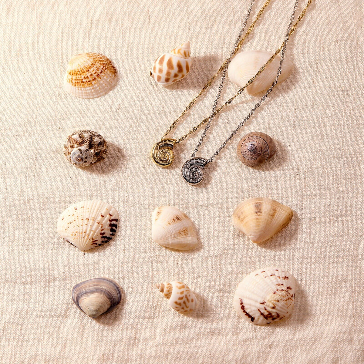 Seashell Pendant Necklace