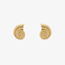 Seashell Stud Earrings