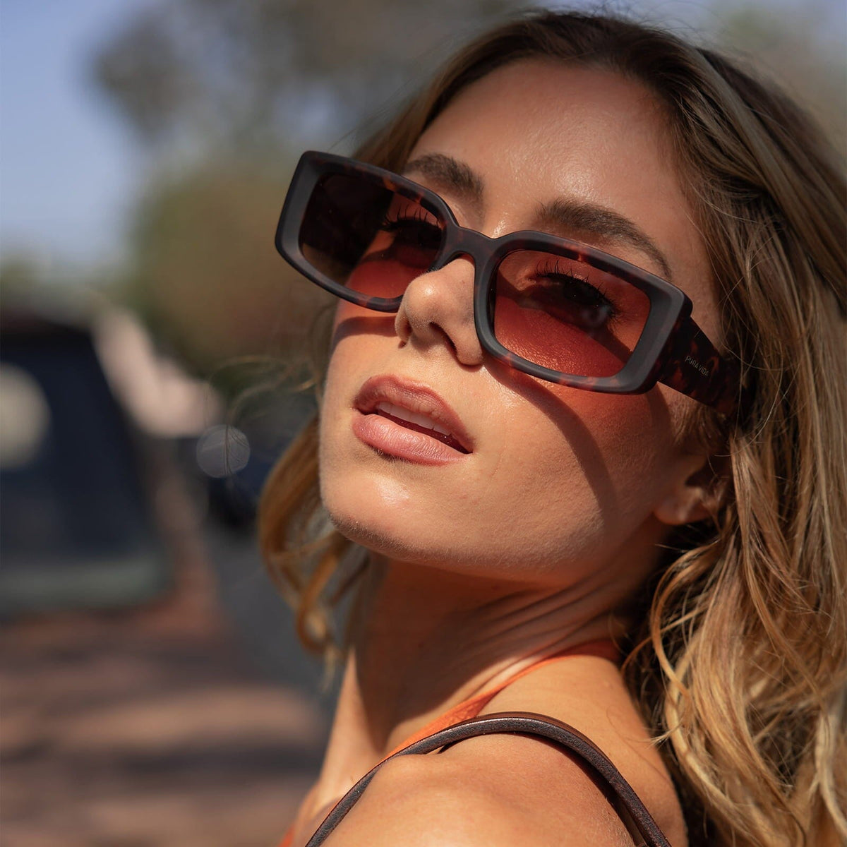 Tortoise
