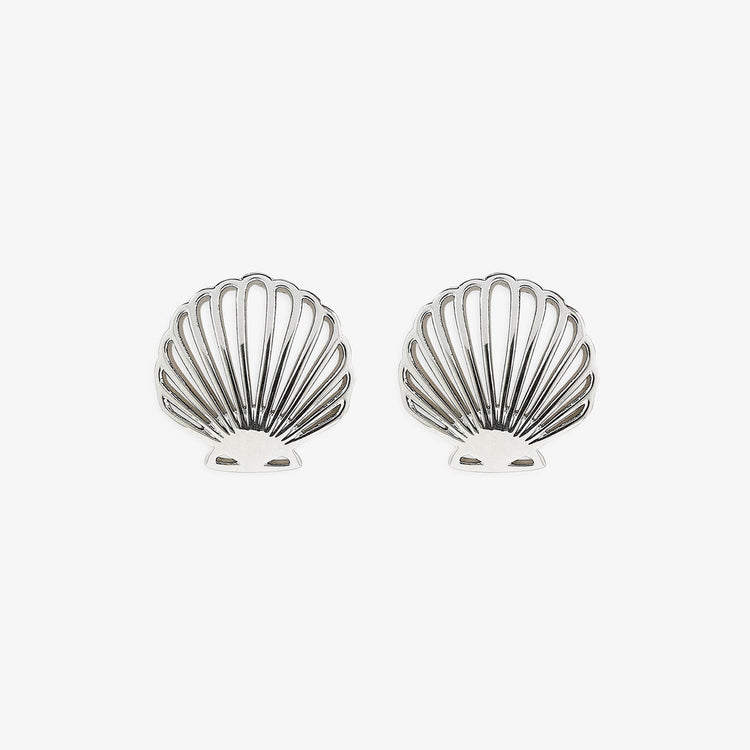Delicate Shell Stud Earrings