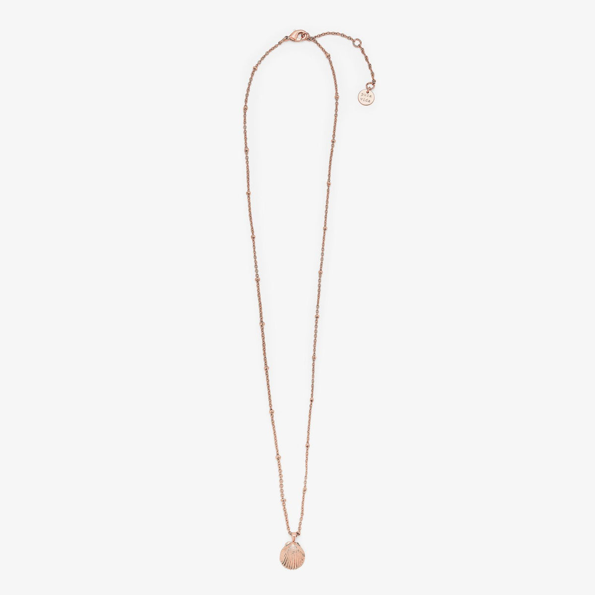 Satellite Shell Pendant Necklace